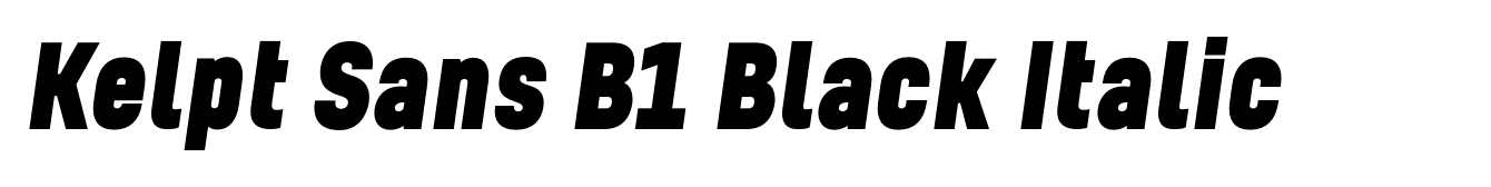 Kelpt Sans B1 Black Italic